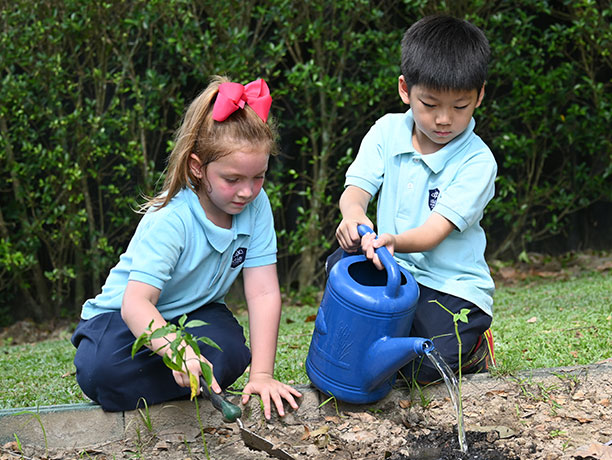 School Allotments